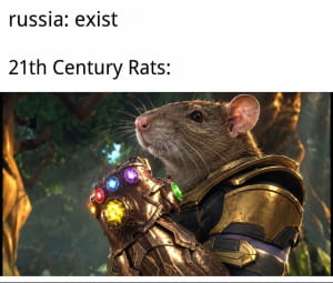 Реакція на спалах чуми на рф