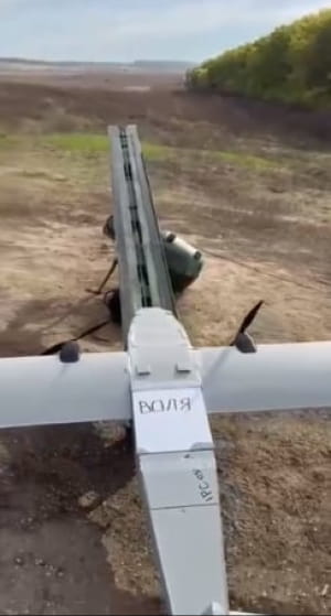 «Воля»