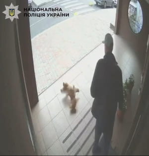 Инцидент с собакой