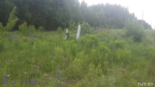 Фото очевидця