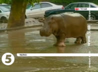 повінь у Тбілісі