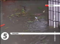 У Китаї пронісся потужний тайфун