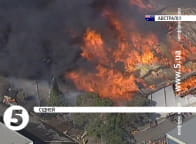 Масштабна пожежа в Австралії