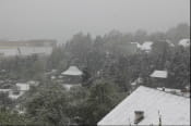 Сніг у Львівській області