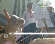 мітинги під ГПУ