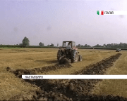 У Ріо створили Христоса з олімпійськими кільцями