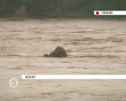 Японія потерпає від потужного тайфуну Lionrock