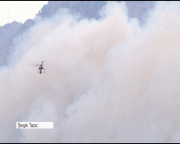 У Греції вирують лісові пожежі