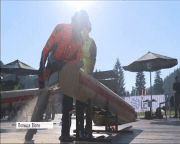 У Польщі закінчився міжнародний чемпіонат зі звалювання лісу