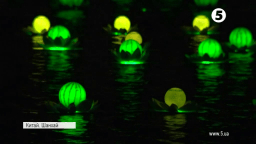 У Шанхаї прикрасили набережну міста кавунами