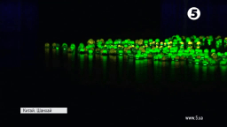 У Шанхаї прикрасили набережну міста кавунами