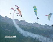 Видовищне повітряне шоу відбулося у Франції