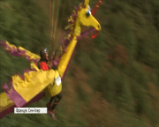 Видовищне повітряне шоу відбулося у Франції