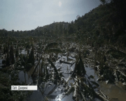 Наслідки урагану Метью