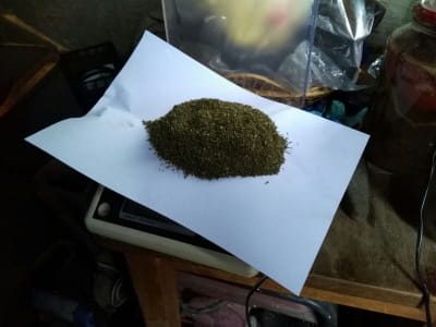 Наркотики, що виявила ДПСУ