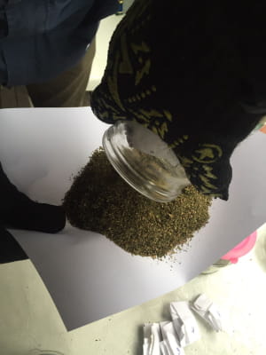 Наркотики, що виявила ДПСУ