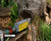 У Нью-Йорку стартувало грандіозне шоу іграшкових поїздів