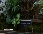 У Нью-Йорку стартувало грандіозне шоу іграшкових поїздів