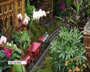 У Нью-Йорку стартувало грандіозне шоу іграшкових поїздів