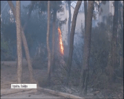 Пожежі в Ізраїлі