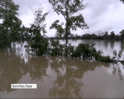 Потужний буревій "Отто" накрив узбережжя Центральної Америки