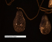 У Лондоні з’явилися Різдвяні сади