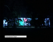 У Лондоні з’явилися Різдвяні сади