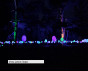 У Лондоні з’явилися Різдвяні сади