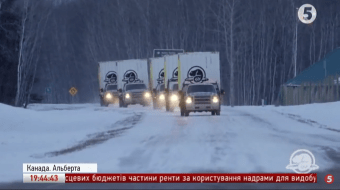 Бізони в Канаді
