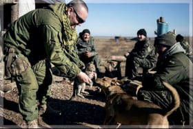 Волонтерська виставка 