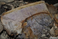 На Тернопільщині СБУ виявила схованку унікальної добірки архівних документів ОУН 