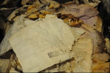 На Тернопільщині СБУ виявила схованку унікальної добірки архівних документів ОУН 