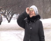 У Дніпрі оселилася родина сов