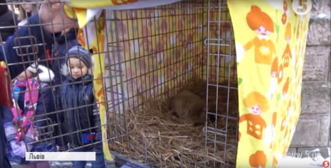 Бабачиха Маруся зі Львова