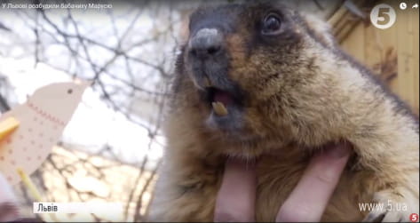 Бабачиха Маруся зі Львова