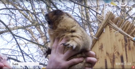 Бабачиха Маруся зі Львова