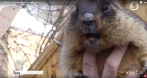 Бабачиха Маруся зі Львова