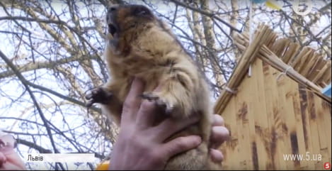 Бабачиха Маруся зі Львова