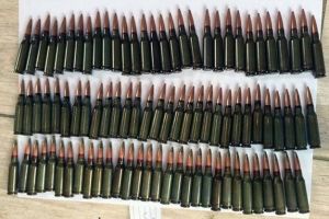 На Київщині викрили чоловіка, який зберігав у себе в будинку цілий арсенал зброї – фото