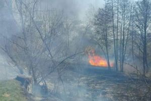 Пожежа у Києві: горять гектари сухої трави на Совських ставках – відео