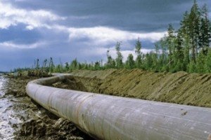 Shell поки що не буде шукати сланцевий газ на Донеччині