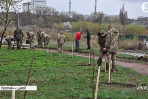 У Кропивницькому спецпризначенці висадили дубову алею пам'яті загиблих в АТО побратимів