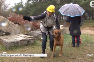 Собачий нюх проти 
