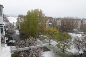 Кіровоградщину запорошило квітневим снігом – фото