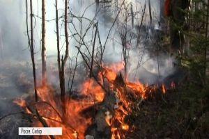 У Сибірі через пожежі ввели надзвичайний стан