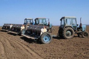 В Україні зросло сільгоспвиробництво - Держстат