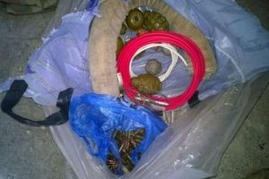 Пластид, протитанкова граната РКГ-3М і детонатори: СБУ знайшла сховище боєприпасів "ДНР" у зоні АТО – фото