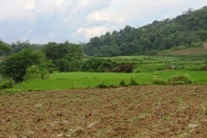 Понад 200 учасників АТО отримали земельні ділянки