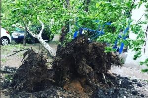 Людські жертви, знесені дахи та повалені дерева: у Москві розлютувався страшний ураган