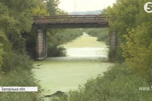У водоймах Запоріжжя виявили бактерію холери